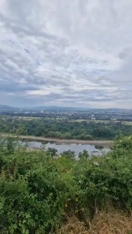 A landscape video shows a cloudy sky over a river and a distant city. The foreground is filled with green bushes and dry grass. The river flows through a lush green forest. Buildings and hills are visible in the far distance.