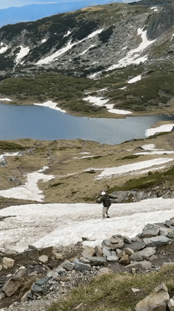 Dog and hiker on a snowy June slope in Panichishte
