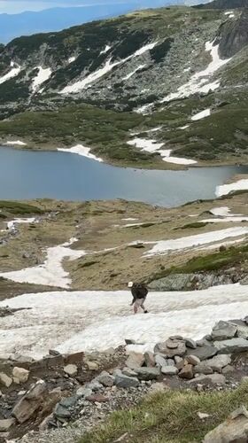 Dog and hiker on a snowy June slope in Panichishte