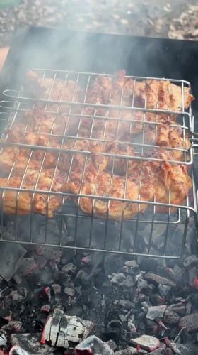Rural gathering involves grilling, wood handling in Elovo, Russia