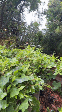 Women sunbathe near firepit in tropical Thai outdoor space