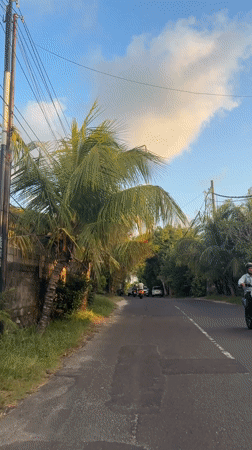 Vehicle travels paved road in tropical Kuta Selatan