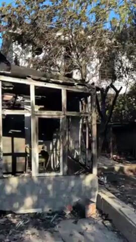The video shows the remains of a building that has been severely damaged by fire. The structure is mostly skeletal, with burnt wooden beams and frames visible. Brick debris is scattered around the base of the building, and some windows are missing entirely, while others have charred frames. A tree stands next to the building, with its branches partially obscuring the view. The sky is blue and clear, suggesting it is daytime. There are traces of white paint or plaster on the building's exterior, but much of it is covered in soot and burn marks.