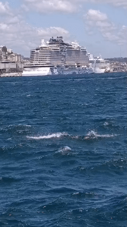 Ferries and tour boats moving through the Bosphorus, Istanbul