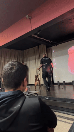 Security dog training demonstration held in Karnobat, Bulgaria