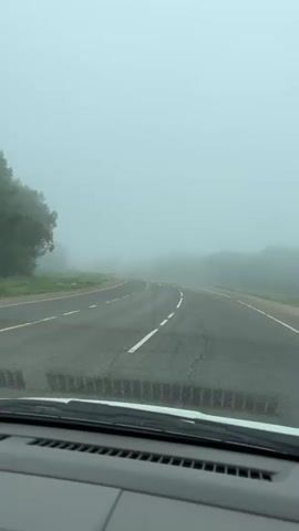 A vehicle travels on a foggy road. The road is paved and has white lane markings. Trees and vegetation line the sides of the road. The sky is overcast with fog.