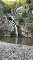 Natural scenes and pet moments captured in Bečići Montenegro