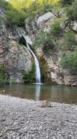 Natural scenes and pet moments captured in Bečići Montenegro