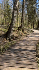 Forest visitors explore wooden boardwalk in Zelenogorsk, Russia