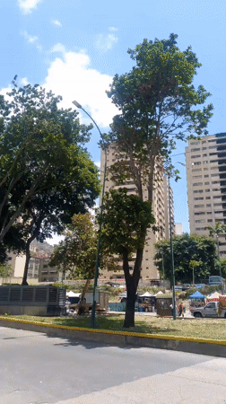 Ambulances, pedestrians observed during afternoon hours in central Caracas