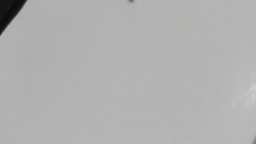 Here's a description of the video:

The video focuses on a tile floor with off-white tiles and brownish grout lines. There is a small, dark insect crawling on the surface of one of the tiles. The camera zooms in slightly. A portion of a black object with a yellow stitch on it is visible in the lower right corner of the frame.