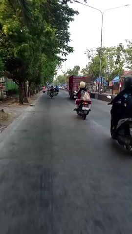 A person on a scooter films a busy street scene from their perspective. Several other scooters, a truck, and a three-wheeled vehicle are also on the road. Trees line the left side of the street, and buildings and signs are visible on the right. The sky is overcast.
