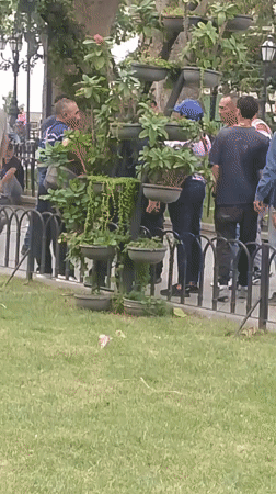 Pigeons, squirrels, and a Bolívar statue in central Caracas