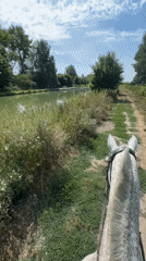 Horseback ride along canals and fields in Estaimpuis
