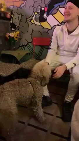 The video shows a room, likely a bar, with a DJ playing music. The first shot shows a tan poodle walking towards a person sitting on a red chair. The person is wearing a white tracksuit and has black shoes on. The wall behind them is covered in a colorful mural. The next shot shows a person with red hair wearing a light green jacket. The final shots focus on the DJ, a man with a mustache wearing a light blue jacket and a white t-shirt. He's operating a Pioneer DJ console. There is a string of yellow lights hanging above him. The word "IDLES" is visible on the console. The lighting in the room is a mix of natural and artificial light, with a noticeable purple glow.