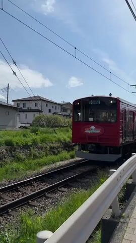 The video captures a themed train passing through a railway crossing in Fujiyoshida, Japan, on a bright, clear day.

The train features vibrant anime character decals along its carriages. The front car, predominantly red, has a circular emblem displaying Mount Fuji and some text, partially obscured but possibly related to "Fuji Excursion" or "Fujikyu." The sides of the first carriage are decorated with anime characters, including what appears to be part of Mount Fuji. The second carriage is purple and prominently displays characters from the "Naruto" anime series, including Naruto Uzumaki and Sasuke Uchiha. Visible text on this carriage includes "Q 富士急ハイランド" (Fuji-Q Highland) and "NARUTO" in both Japanese and English. A third, green carriage is briefly visible at the very end of the train.

At the railway crossing, several people are waiting patiently for the train to pass. Most are observing the train, and one person is seen taking a photograph as it moves. The crossing is equipped with a standard yellow X-shaped warning sign, flashing red lights, and barrier arms (which are up as the train approaches and passes).

The surroundings include green grassy embankments alongside the tracks, and several residential or commercial buildings are visible in the background under a clear blue sky. Utility poles with numerous overhead wires run parallel to the tracks.