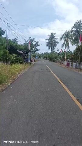 This video shows a drone's point of view traveling down a paved road in a rural or tropical area. The road is bordered by vegetation, including palm trees and smaller trees. On the left side of the road, there are some small buildings and what appears to be a market stall. Indonesian flags are visible on poles along both sides of the road, suggesting a festive or patriotic occasion. The sky is cloudy. The drone moves forward at a steady pace, giving a sense of exploration or journey.