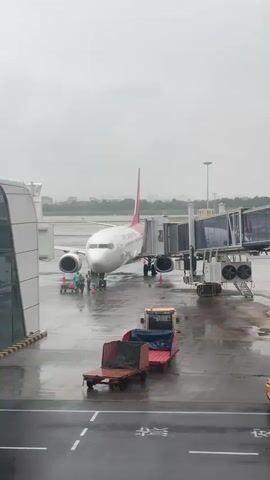 The video shows an airplane parked at an airport gate on a rainy day. The plane is white with red and blue accents and has its jet bridge connected. Several airport workers are visible near the plane, some attending to equipment. A baggage cart is parked on the tarmac, and other airport vehicles are also present. The ground is wet and reflective due to the rain. The sky is overcast.