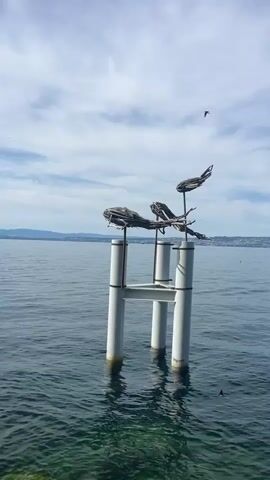 This video captures a sculpture of three fish made of driftwood, mounted on a metal structure supported by four white cylindrical pilings in the water. The sculpture is positioned in a large body of water, likely a lake, with a hazy horizon and a cloudy sky. One fish is positioned higher and further forward than the other two. The water is calm and clear, revealing the rocky bottom in the foreground. The overall scene is serene and natural.