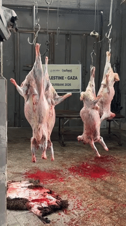 Gaza meat processing facility operations documented during morning hours