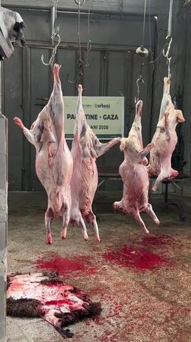 Gaza meat processing facility operations documented during morning hours