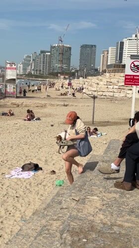 Woman carries small dog during beach walk