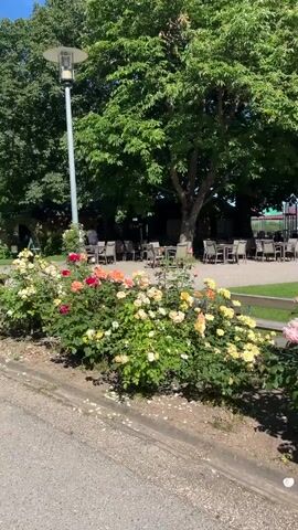 The video shows a rose garden in front of a castle on a sunny day. The garden is filled with rose bushes in various colors, including pink, red, yellow, and peach. The castle is visible in the background, with trees surrounding the garden. The sky is clear and blue. There are outdoor tables and chairs visible on a patio.
