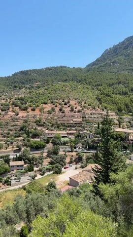A bright, clear day offers a wide shot of a mountainous landscape dotted with buildings and vegetation. The sky is a vibrant, cloudless blue. The foreground is filled with the lush green foliage of trees. In the middle ground, a village is nestled into the hillside. Buildings with terracotta roofs are scattered amongst olive groves and other trees. Terraced fields, characteristic of agricultural landscapes, are visible on the slopes. A road winds through the village, with a few cars parked or driving. The background features a densely forested mountain, its peak obscured by the bright sunlight. The scene is peaceful and idyllic.