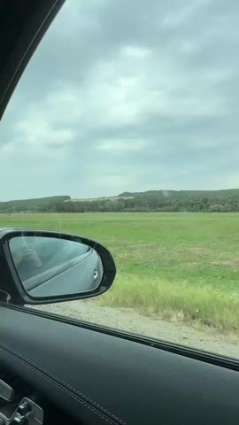The video shows a view from inside a car looking out the window. A side mirror is visible in the foreground, reflecting the interior of the car and a person's arm. Outside the car, there is a grassy field with a line of trees in the distance. A signpost with the number "12" is also visible in the field. The sky is cloudy. The video appears to be taken while driving.