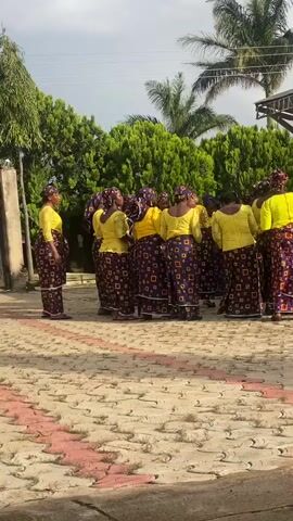 A group of women wearing matching yellow blouses and purple and gold patterned skirts are gathered in a circle outdoors. They are facing inwards, and some appear to be singing or chanting. The ground is paved with interlocking stones in a reddish-pink and beige pattern. Lush green bushes and palm trees form a backdrop. The sky is overcast.