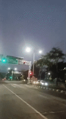 Surabaya streets and roadside flora at nightfall