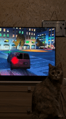 Curious cat watches video games on TV in Krasnoyarsk
