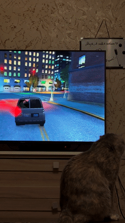 Curious cat watches video games on TV in Krasnoyarsk