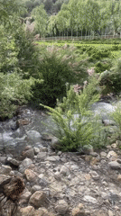 Streams, stone dwellings, and greenery around Leh