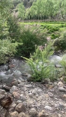 Streams, stone dwellings, and greenery around Leh