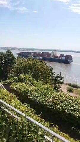 A large cargo ship with red containers and CMA CGM written on its side is sailing on a wide body of water under a clear blue sky with some white clouds. The ship is in the middle ground of the video. In the foreground, there is lush green foliage, possibly a hedge or trees, with a white railing on the left side. The water appears to be calm, with a gentle wake behind the ship. The overall scene suggests a bright, sunny day.