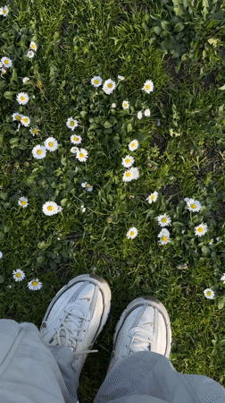 Person in white sneakers stands among daisies in Belgrade