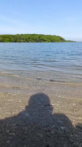 The video shows a wide shot of a body of water with a shoreline covered in small rocks or pebbles in the foreground. Clear water laps gently at the shore. In the middle ground, a densely wooded landmass is visible. The sky is clear and blue. The shadow of the person recording the video is cast onto the shoreline. A voice is heard in the background.