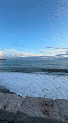 Coastal scenes and pet moments captured in Sutomore Montenegro