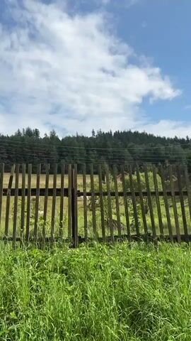 A fence with vertical wooden planks runs horizontally across the frame, with green grass in the foreground. Behind the fence, trees and a hilly landscape with a forest are visible under a blue sky with clouds. A power line runs diagonally across the upper left portion of the screen. The video pans to the right, revealing more of the landscape and the fence. Then, a wooden house with a dark roof comes into view behind the fence. As the video continues to pan right, a white house with a red tiled roof and a smaller yellow structure on top appears, with a black metal fence in front of it. Finally, a large, dark, barn-like structure with a metal gate in front of it is shown, with trees and a hill in the background.