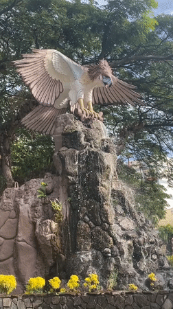 Morning scenes from Davao City parks and universities documented