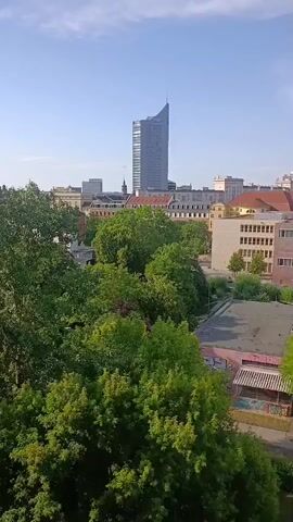 A daytime aerial shot captures a cityscape under a clear blue sky with scattered white clouds. In the background, a tall, slender skyscraper with a pointed top dominates the horizon. In the mid-ground, a dense canopy of vibrant green trees fills the lower half of the frame, interspersed with various buildings of different architectural styles and colors. Some buildings feature traditional pitched roofs, while others have flat roofs. A long, multi-story building with rows of windows stands prominently among the trees. In the foreground, more greenery is visible. A paved area with what appears to be a sports court or parking lot is partially visible, marked with graffiti on its surface and an awning. A white van is parked on the side of a road or path adjacent to the green space. The overall impression is of a city with pockets of nature integrated within its urban fabric.