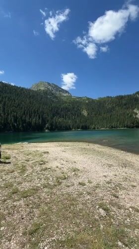 Morning at a Montenegrin lake, trails through pine forest