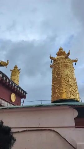 This video captures a close-up view of ornate golden stupas atop traditional Tibetan architecture, set against a dramatic, cloudy sky. The stupas are tall and cylindrical, elaborately decorated with intricate patterns resembling draped fabric and beaded garlands. At their peaks, they feature multiple curved points and small bells that suggest movement, though the wind is not strong enough to make them visibly sway.

The stupas appear to be part of a temple or monastery complex, with glimpses of red and brown painted wooden structures and curved eaves visible. A large circular emblem, also golden, is mounted on the side of one building. The overall impression is one of grandeur and spiritual significance.

The sky is filled with heavy, grey clouds, creating a diffused and somewhat somber atmosphere. The lighting suggests it is daytime, likely afternoon, given the cloud cover. No people are visible in the frame, focusing the attention solely on the architectural elements and the sky. The location is identified as Shangri-La, China, a region known for its Tibetan Buddhist culture and stunning natural landscapes. The image evokes a sense of awe, with the resplendent gold of the stupas contrasting with the brooding sky. There is no visible text in the frame.