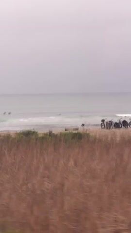 The video displays an overcast coastal scene, likely viewed from a moving train or vehicle, as indicated by the blurred foreground and shifting perspective. The main focus is on a beach and the ocean. Gentle waves are breaking on the shore, and several surfers are visible in the water. On the sandy beach, multiple bicycles are parked near the waterline, and a person can be seen standing. The foreground consists of blurred brown and green coastal vegetation. The sky is a uniform light gray, suggesting an overcast day. The overall impression is one of a quiet surfing spot on a muted, cloudy day.