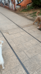 Everyday moments captured across Tel Aviv neighborhoods Sunday afternoon