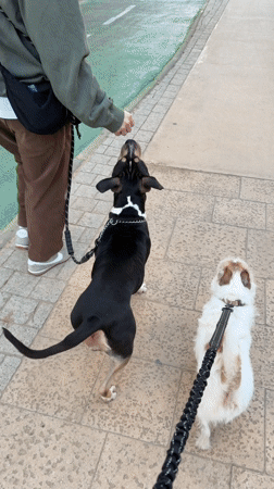 Everyday moments captured across Tel Aviv neighborhoods Sunday afternoon