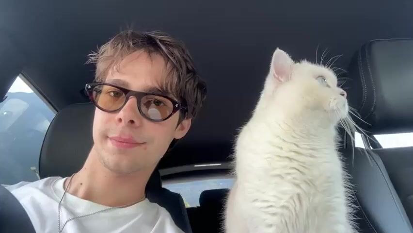 A young man with short, brown hair and yellow-tinted glasses is sitting in the driver's seat of a car, looking at the camera. To his right, a white cat with blue eyes is sitting on the passenger seat, looking away from the camera. The man's left hand is visible, holding a phone to take a selfie. The interior of the car is dark, with the back seats visible behind the man and cat. The man is wearing a white t-shirt and a necklace. The cat is fluffy and appears to be looking out the window.