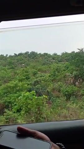 From inside a vehicle, a person's hand, adorned with a beaded bracelet, holds a black smartphone in the bottom left of the frame. The view through the car window reveals a vast expanse of lush green foliage, consisting of numerous trees and bushes, suggesting a dense forest or wild landscape. The sky above is a light, overcast grey. The scenery passes by, indicating that the vehicle is in motion. The setting is Assob Hausa, Nigeria, and it appears to be daytime.