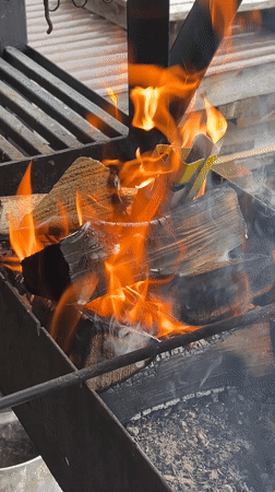 Family gathering documented in Protasy, Russia with outdoor activities